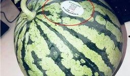 网红吃瓜网站大全,揭秘热门八卦聚集地